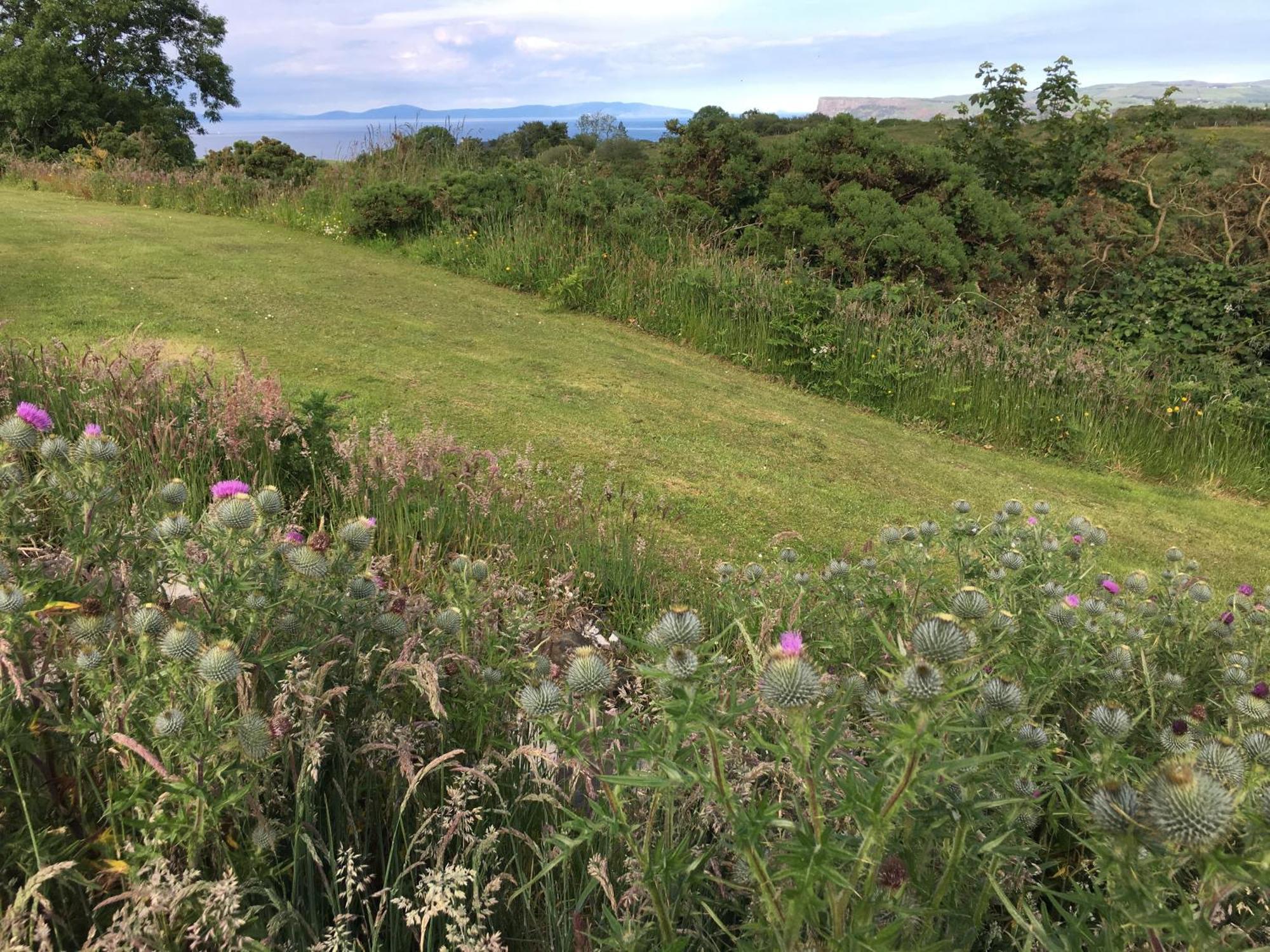 Causeway Coast Country Cottage, Pet-Friendly Ballycastle Exterior photo